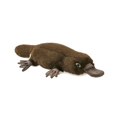 Schnabeltier 40 cm – naturgetreues, exotisches Stofftier von Hansa Creation
