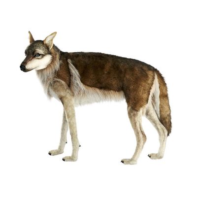 Wolf Stehend - Hansa Creation Wolf Plüschtier 105 cm stehend – naturgetreu & imposant für Wildtierfans