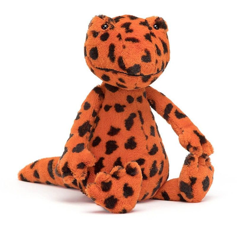 Salamander Syd - Amphibians & Reptiles Salamander Syd - Amphibians & Reptiles