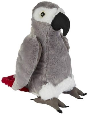 Graupapagei - Ravensden