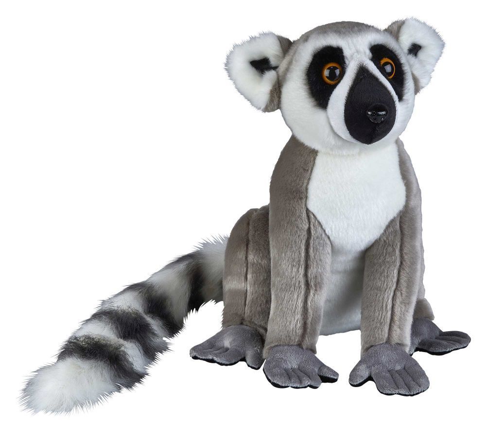 Lemur - Ravensden