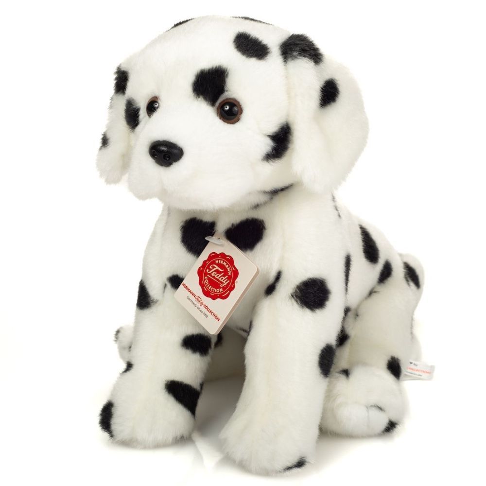 Hund Dalamatiner - Hermann Teddy