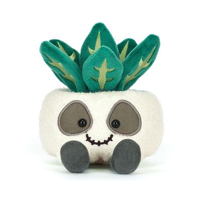 Pflanze im Totenkopf Blumentopf Skull Planter - Halloween