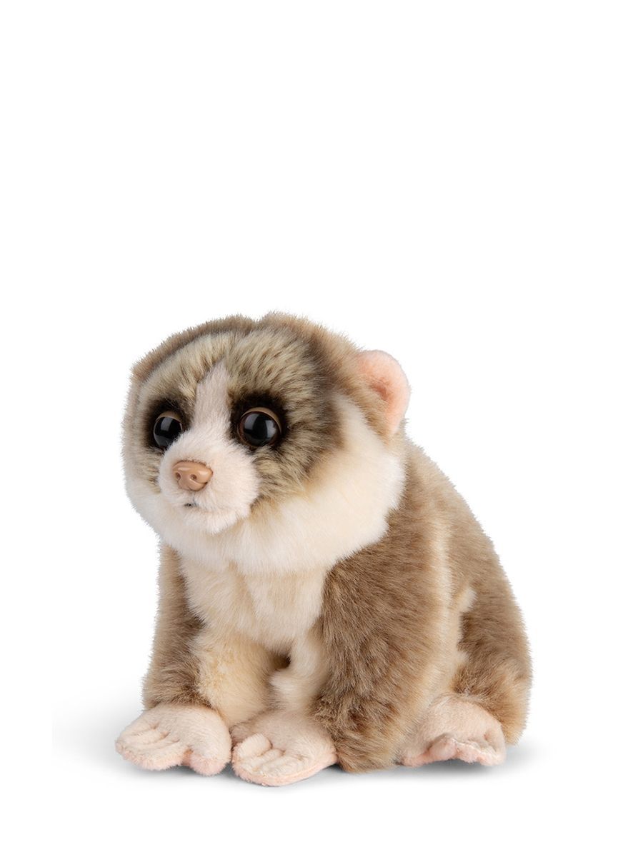 Lori Affe - WWF