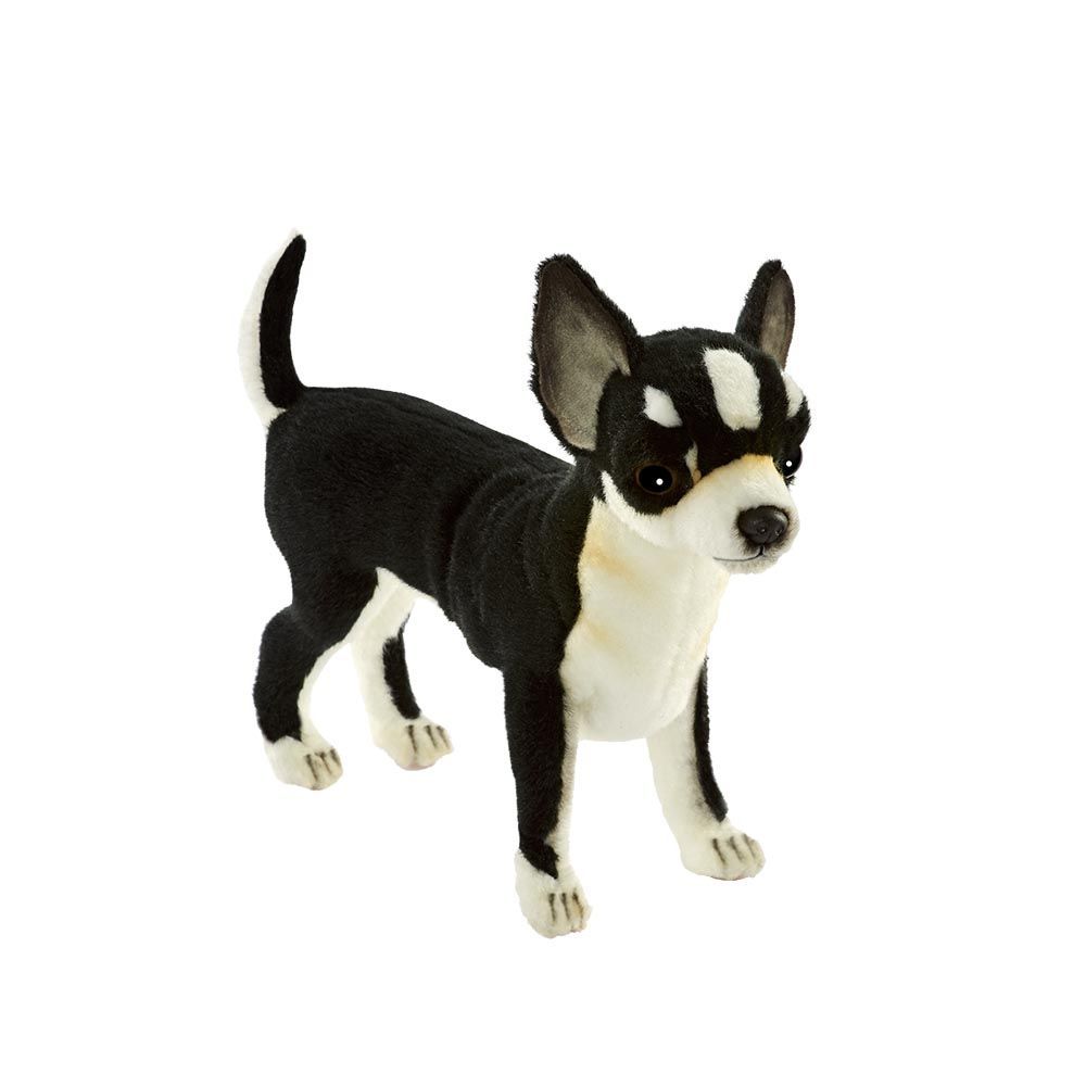 Chihuahua Schwarz von Hansa Creation, naturgetreuer Plüschtier Hund mit weichem schwarzen Fell, Ansicht von vorne
