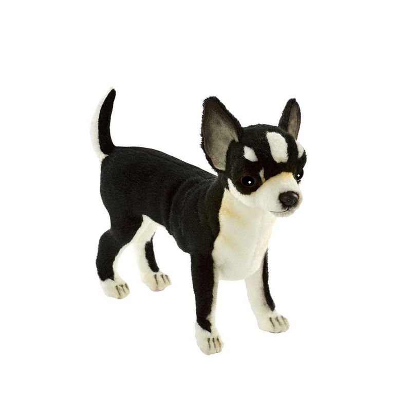 Chihuahua Schwarz von Hansa Creation, naturgetreuer Plüschtier Hund mit weichem schwarzen Fell, Ansicht von vorne
