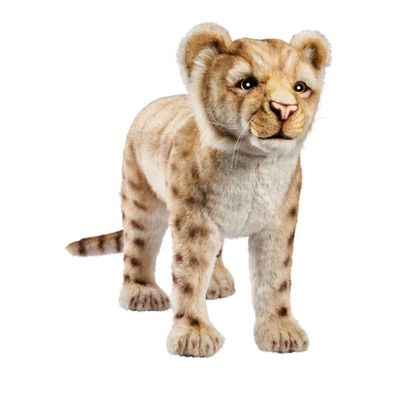 Löwe Baby Stehend von Hansa Creation, naturgetreue Plüschtier Raubkatze mit goldbraunem Fell, 70 cm groß, Ansicht von vorne

