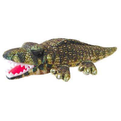 Alligator - Little Creatures