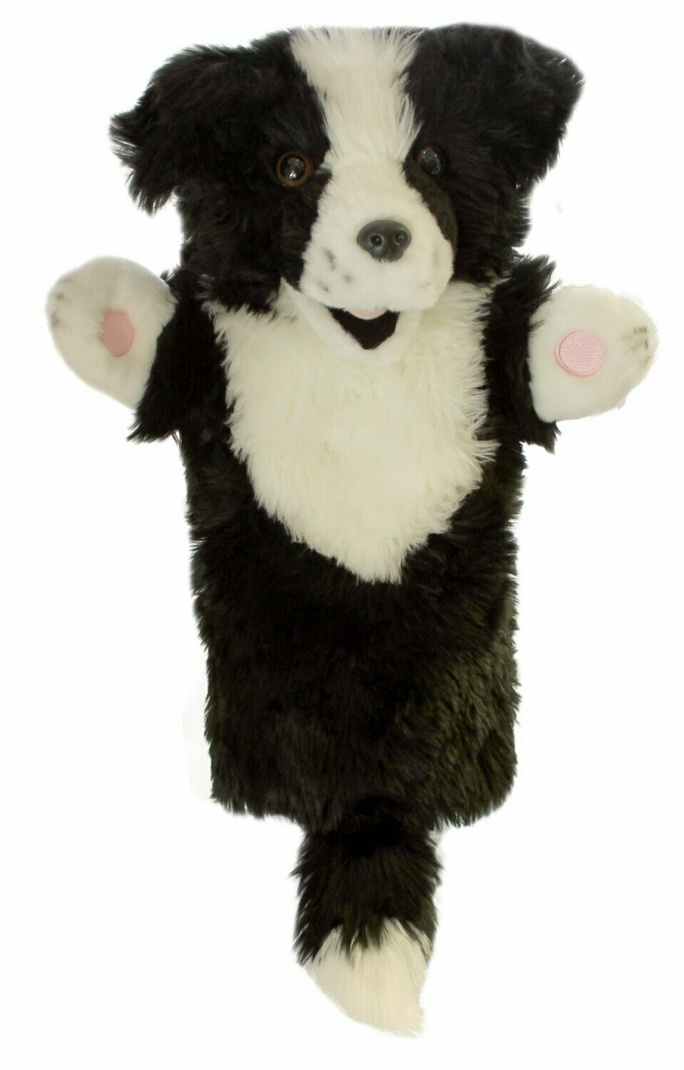 Border Collie - Long Sleeves Border Collie - Long Sleeves