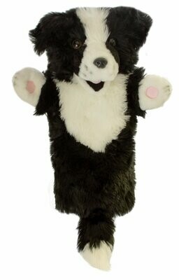 Border Collie - Long Sleeves Border Collie - Long Sleeves