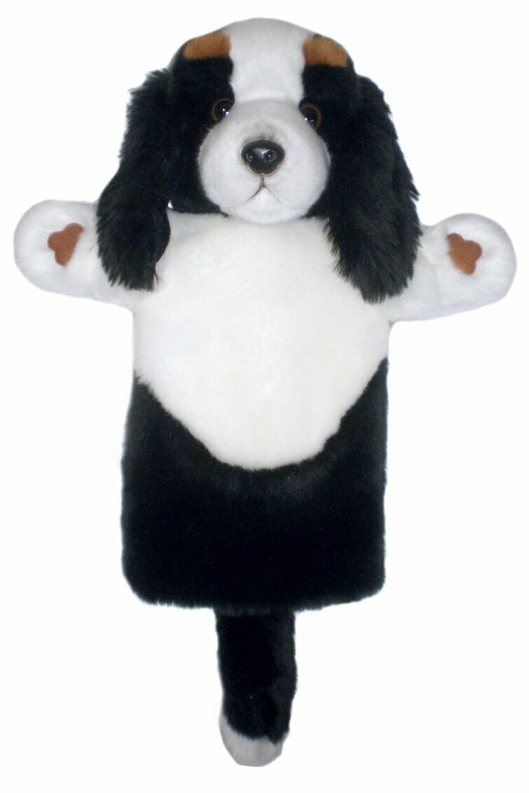 King Charles Spaniel - Long Sleeves King Charles Spaniel - Long Sleeves