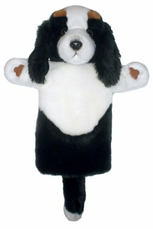 King Charles Spaniel - Long Sleeves King Charles Spaniel - Long Sleeves