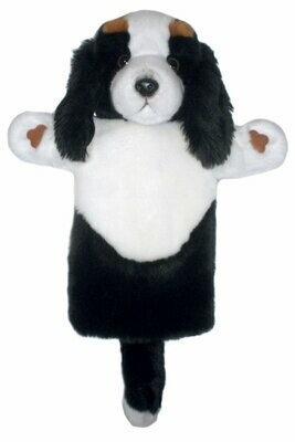 King Charles Spaniel - Long Sleeves
