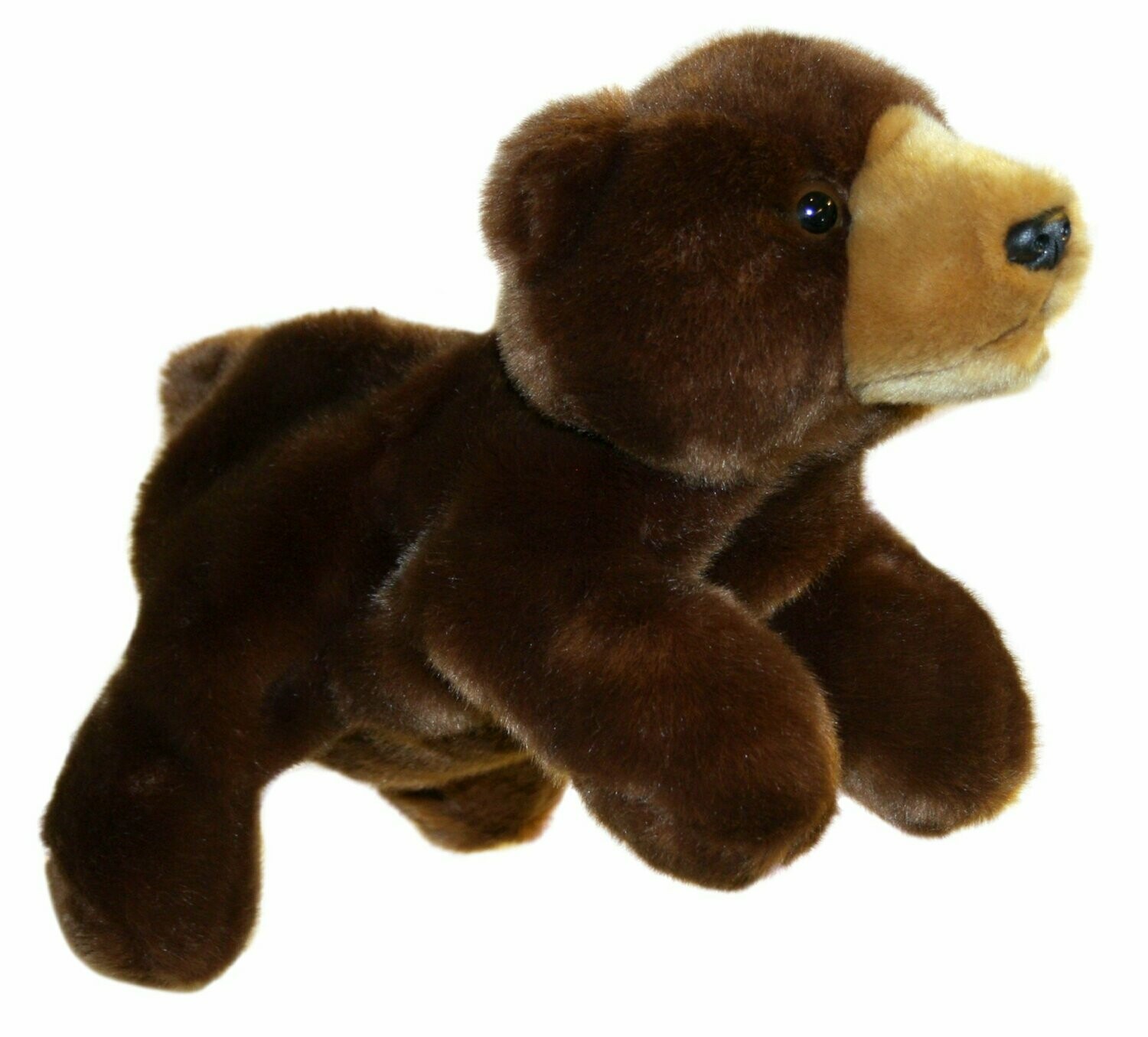 Braunbär - Full-Bodied Braunbär - Full-Bodied