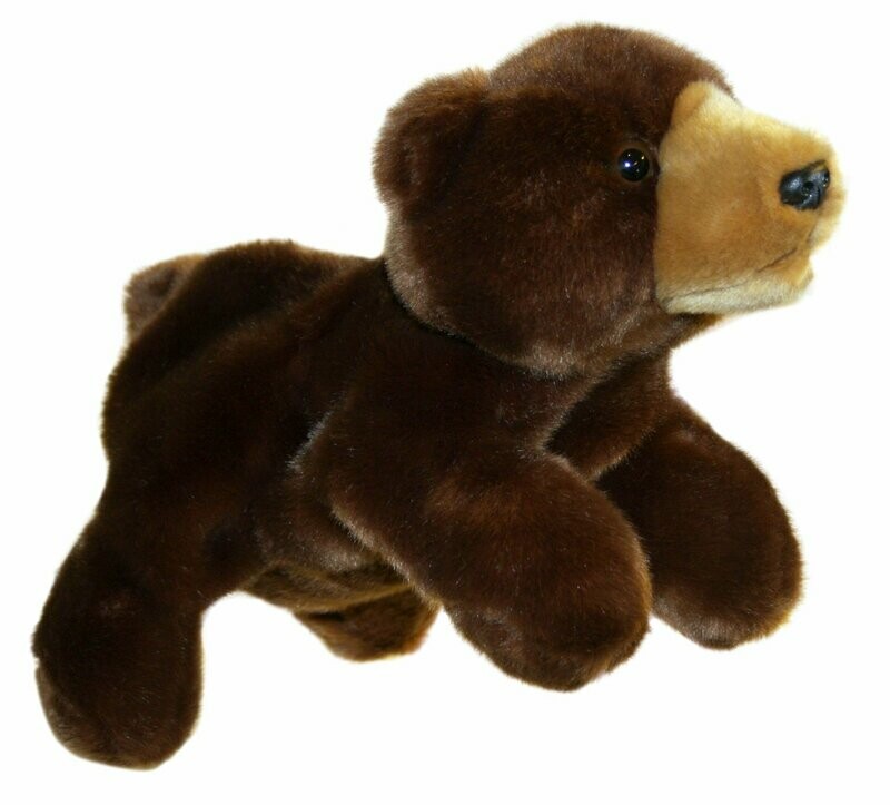 Braunbär - Full-Bodied Braunbär - Full-Bodied