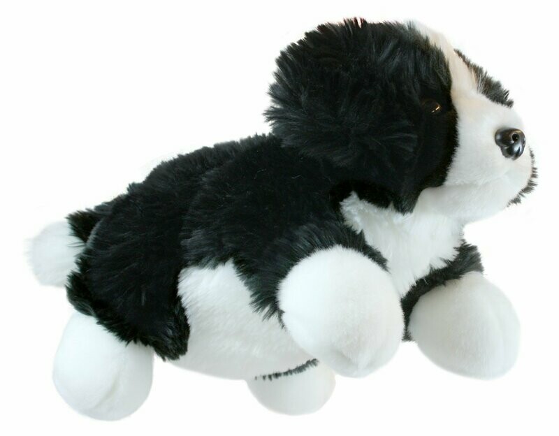 Border Collie - Full-Bodied Ganzkörper-Handpuppe Hund Border Collie von The Puppet Company, Kopf & Vorderbeine bespielbar
