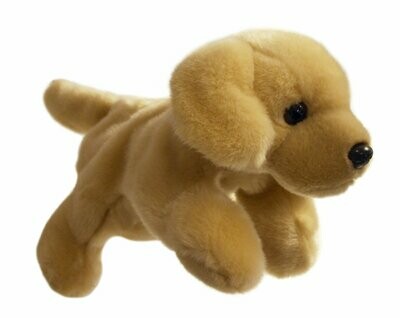 Ganzkörper-Handpuppe Hund Labrador von The Puppet Company, Kopf & Vorderbeine bespielbar für Kinder