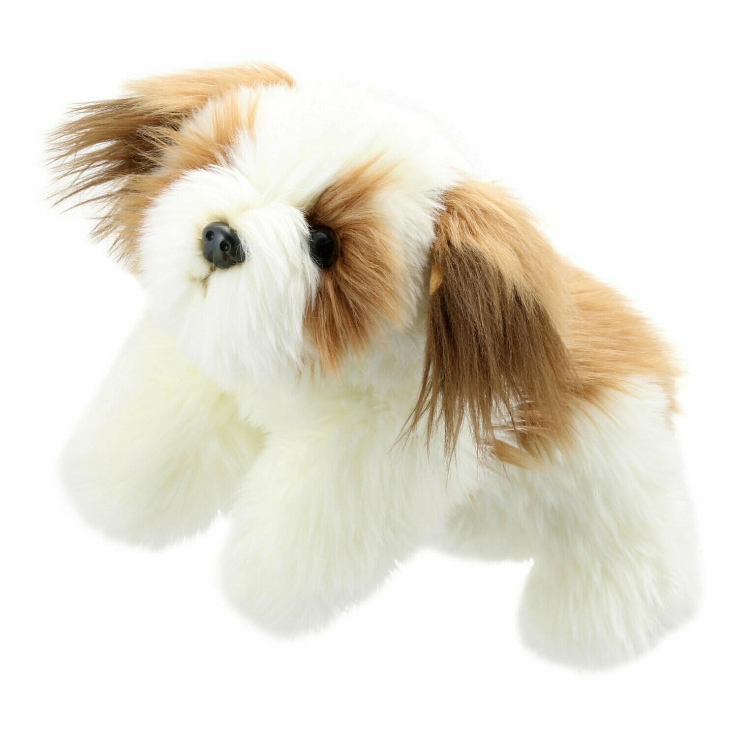 Hund - Full-Bodied Ganzkörper-Handpuppe Hund Braun-Weiß von The Puppet Company, Kopf & Vorderbeine bespielbar