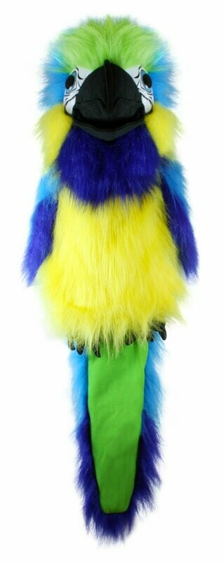Ara Blau - Large Birds Ara Blau - Large Birds