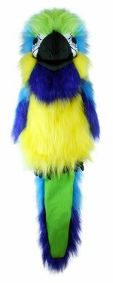 Ara Blau - Large Birds Ara Blau - Large Birds