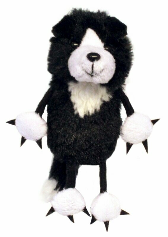 Fingerpuppe Border Collie Fingerpuppe Border Collie