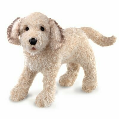Hund Labradoodle - Folkmanis Hund Labradoodle - Folkmanis