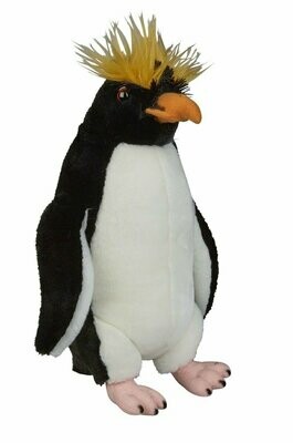 Felsenpinguin - Ravensden