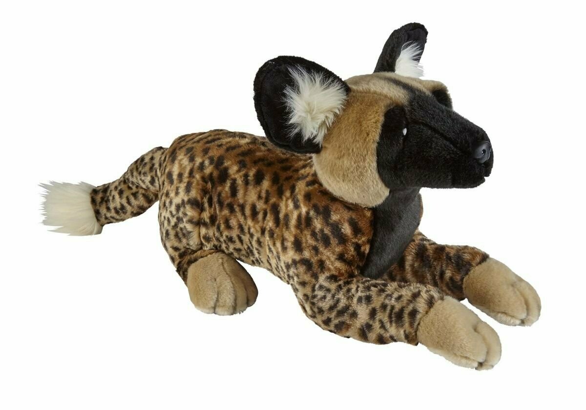 Afrikanischer Wildhund - Ravensden