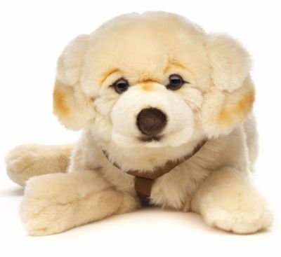 Uni-Toys Golden Retriever Plüschtier liegend 60 cm lang goldfarbenes cremefarbenes weiches Fell treue Augen Brustgeschirr