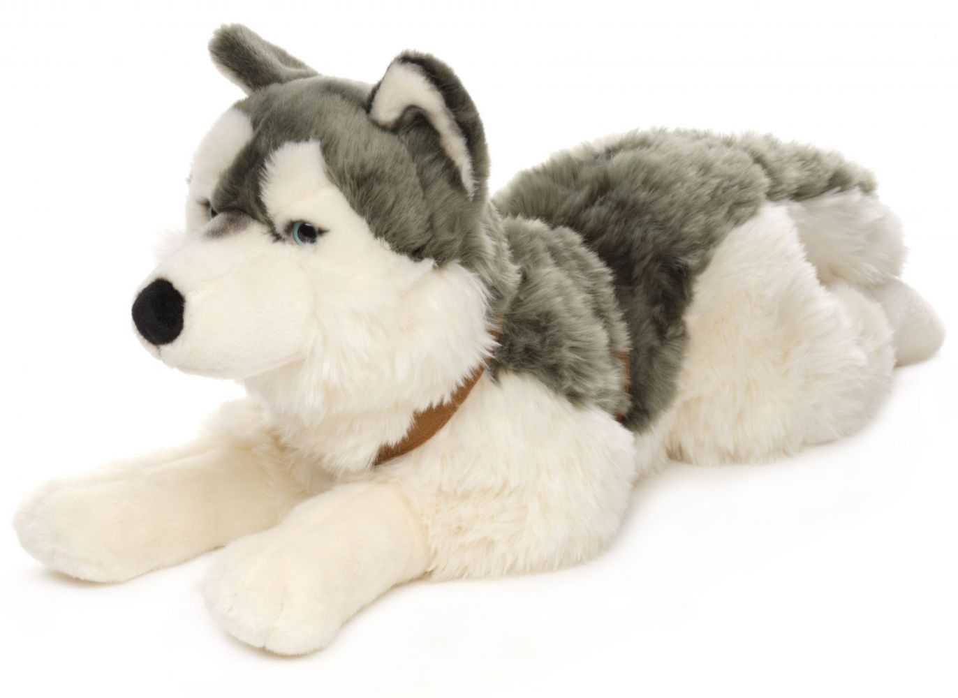 Husky - Uni-Toys Uni-Toys Husky Plüschtier liegend 60 cm lang grau weißes dichtes Fell strahlend blaue Augen Brustgeschirr Stoffhund