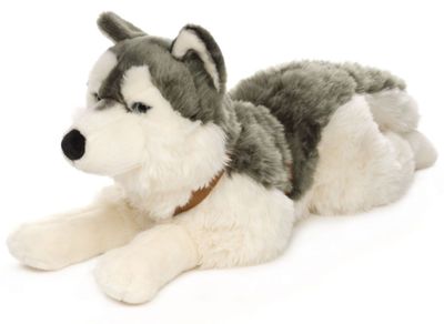 Husky - Uni-Toys Uni-Toys Husky Plüschtier liegend 60 cm lang grau weißes dichtes Fell strahlend blaue Augen Brustgeschirr Stoffhund