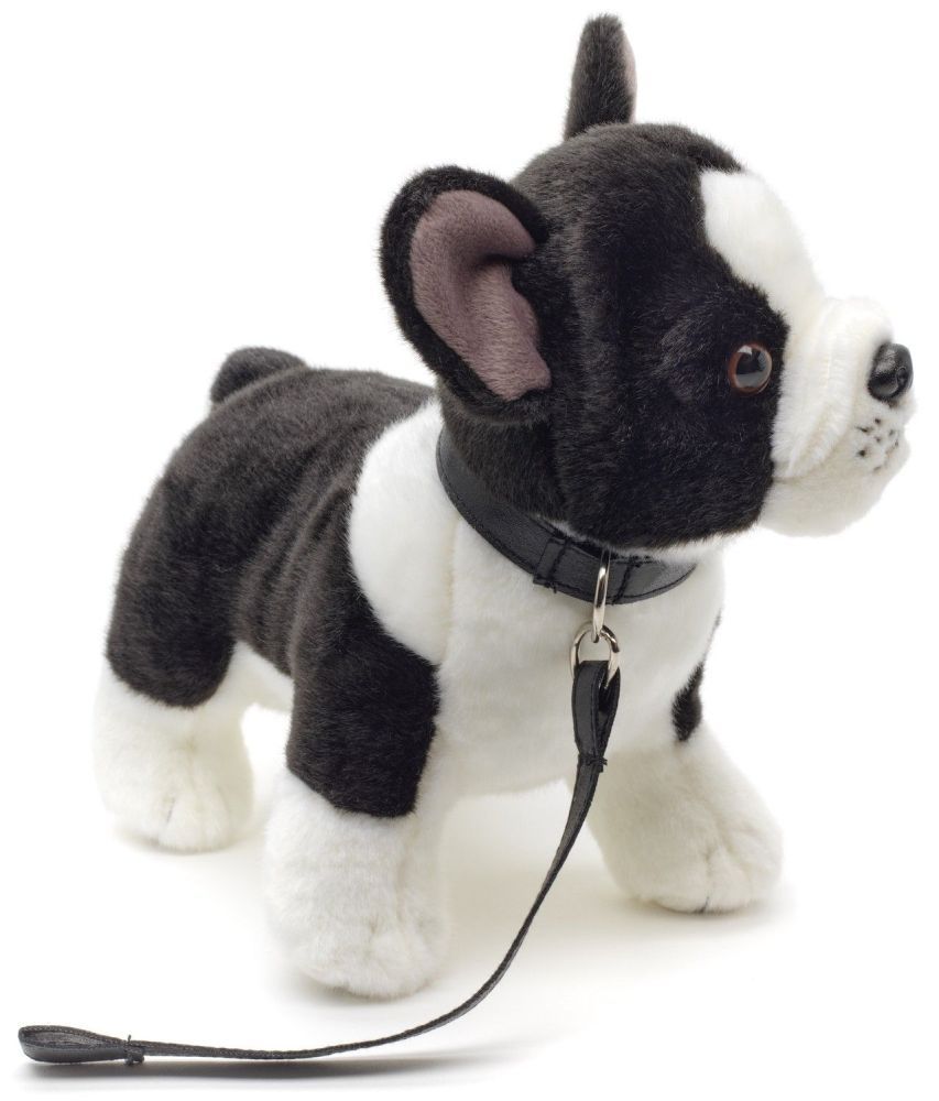 Bulldogge mit Leine - Uni-Toys Uni-Toys Französische Bulldogge Plüschtier stehend große Fledermausohren typische Gesichtsfalten dunkle Knopfaugen Hundeleine