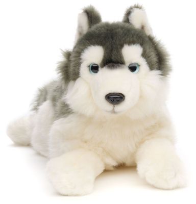 Uni-Toys Husky Plüschtier liegend dichtes grau weißes Fell spitze Stehohren charakteristische Gesichtszeichnung blaue Augen