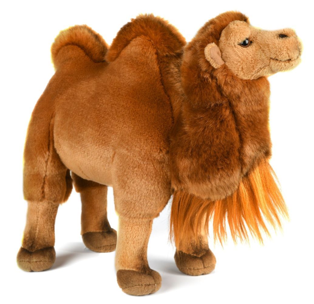 Kamel stehend - Uni-Toys Uni-Toys Kamel Plüschtier sandfarbenes braunes weiches Fell charakteristische Höcker lange Beine drollige Schnauze Stofftier