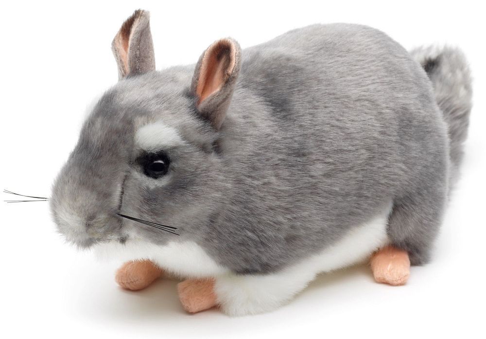 Chinchilla - Uni-Toys Chinchilla - Uni-Toys