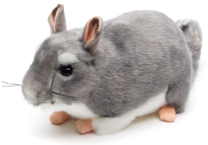 Chinchilla - Uni-Toys Chinchilla - Uni-Toys