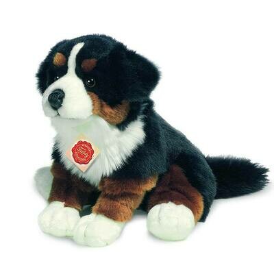 Berner Sennen Hund - Hermann Teddy Berner Sennen Hund - Hermann Teddy