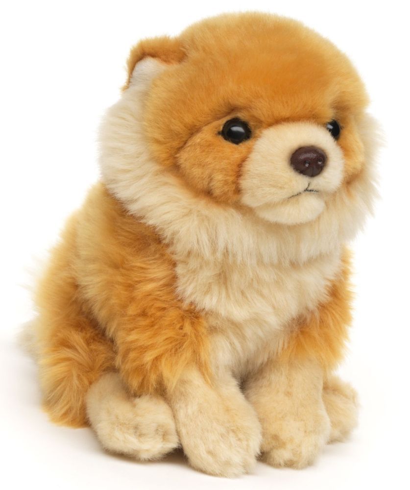 Zwergspitz - Uni-Toys Uni-Toys Zwergspitz Plüschtier sitzend 17 cm groß Pomeranian Hund extra flauschiges hellbraunes Fell aufgeweckte Knopfaugen S
