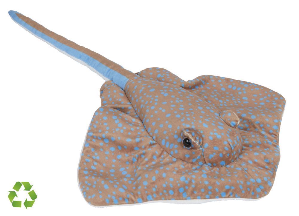 Rochen Blaupunktrochen - Ravensden Rochen Blaupunktrochen - Ravensden