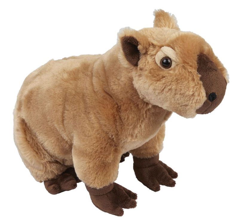 Capybara Wasserschwein - Ravensden Capybara Wasserschwein - Ravensden