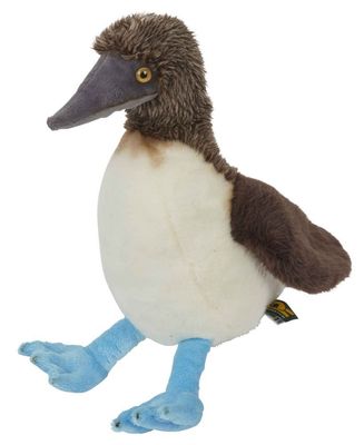 Vogel Blaufußtölpel - Ravensden