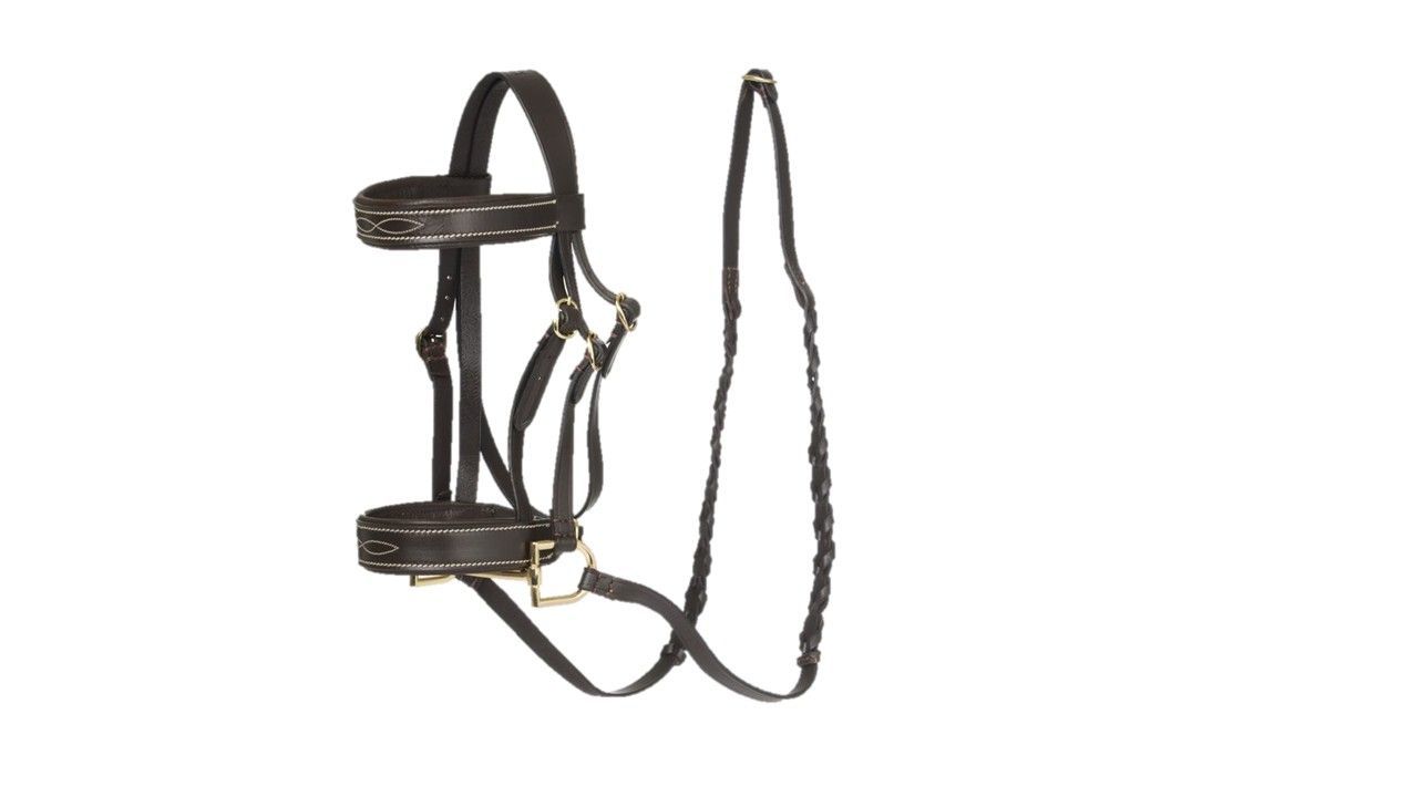 Halfter Zaumzeug Dark Brown - LeMieux Hobby Horse Halfter Zaumzeug Dark Brown - LeMieux Hobby Horse