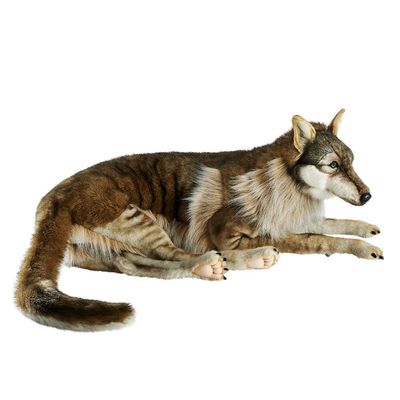 Lying Wolf - Hansa Creation Lying wolf plush 125 cm – realistic and decorative soft toy for animal lovers