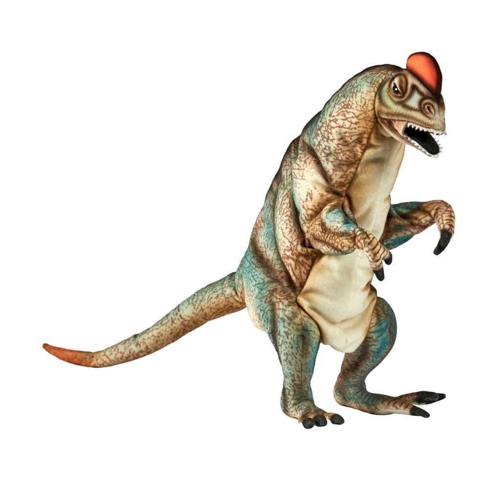 Dilophosaurus Handpuppe - Hansa Creation Dilophosaurus Handpuppe 35 cm – detailreicher Plüschdino mit Frill