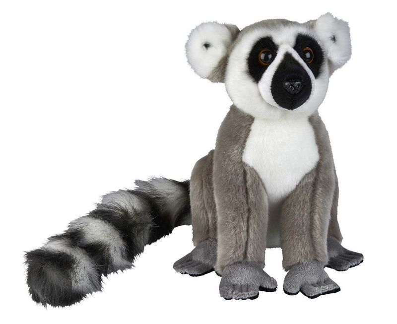 Lemur - Ravensden
