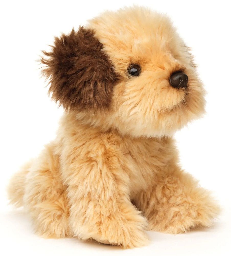 Hund Shih Tzu - Uni-Toys Shih Tzu Doodle Plüschtier gelockter Stoffhund mit flauschigem Fell treuen Knopfaugen und süßer Nase