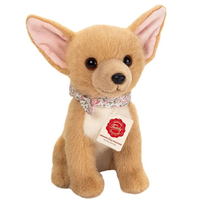 Hund Chihuahua sitzend - Hermann Teddy