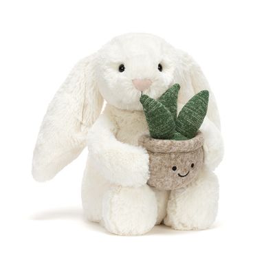 Jellycat Bashful Cream Bunny Hase creme weiß mit Sukkulente Pflanze im Topf Vorderansicht