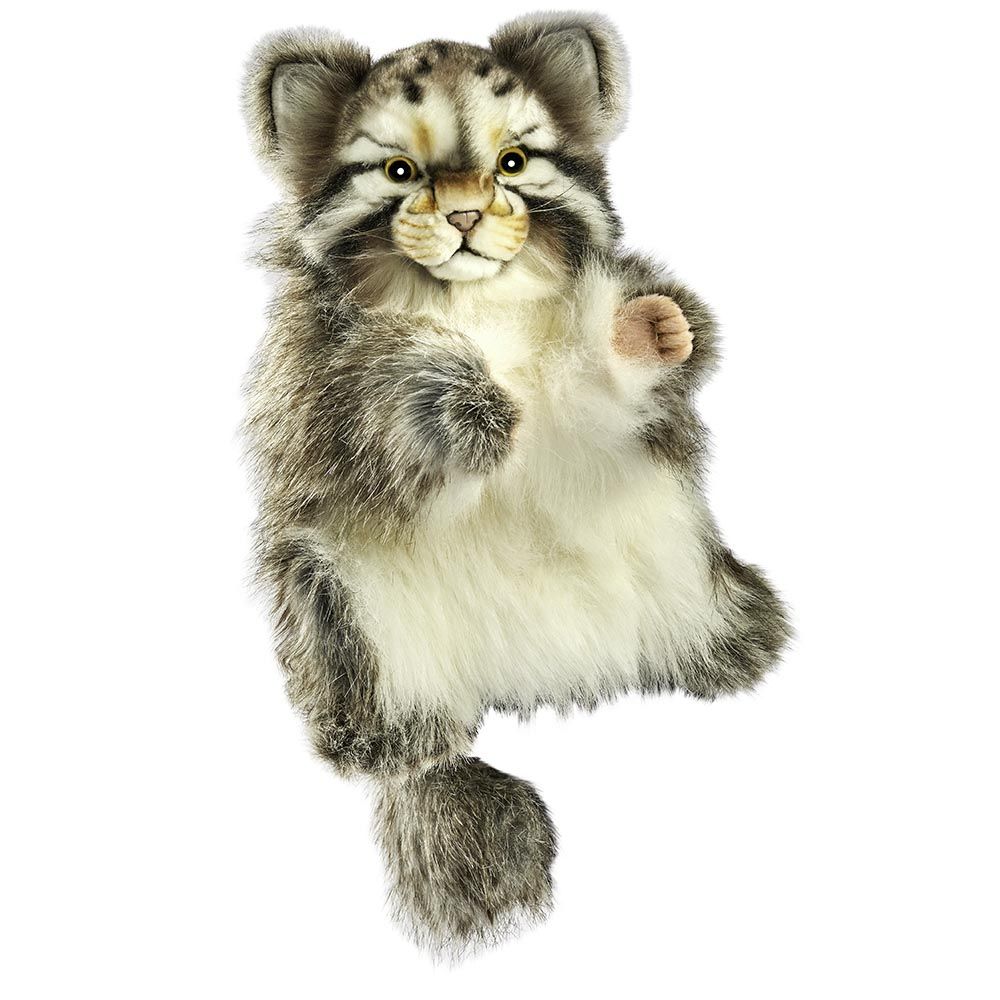 Pallas Katze Handpuppe - Hansa Creation Hansa Anima Handpuppe Pallas Katze Manul Wildkatze lebensecht dichtes graubraunes Fell mürrischer Blick