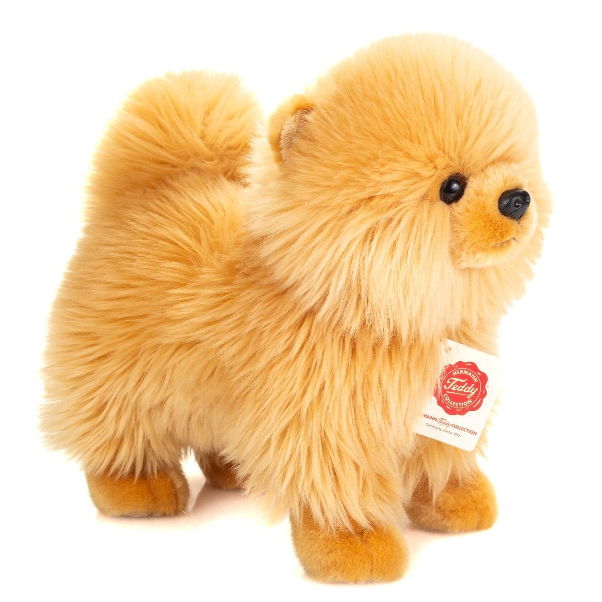 Hund Zwergspitz gold - Hermann Teddy Hermann Teddy Hund Zwergspitz Pomeranian stehend aus goldfarbenem dichtem Plüschfell mit kleinen Stehohren und buschiger Rut